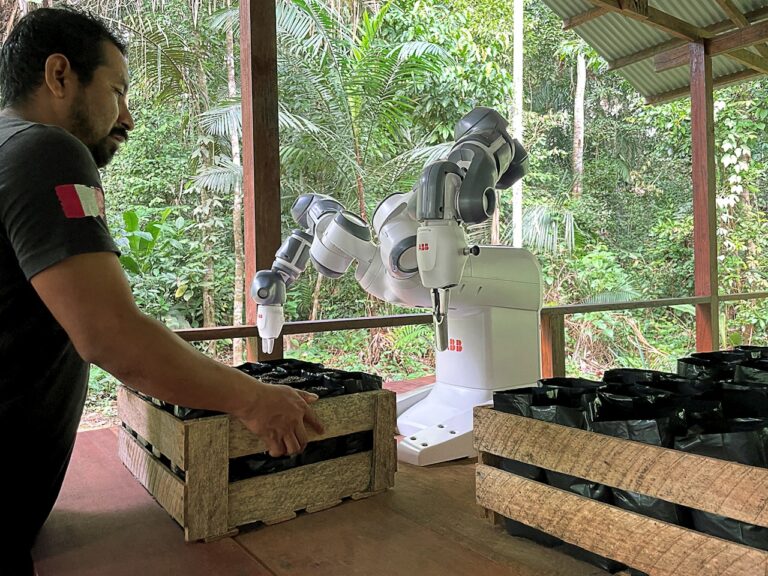 Robotica e Cloud al servizio della sostenibilità: così Yumi sta contribuendo a proteggere la foresta amazzonica
